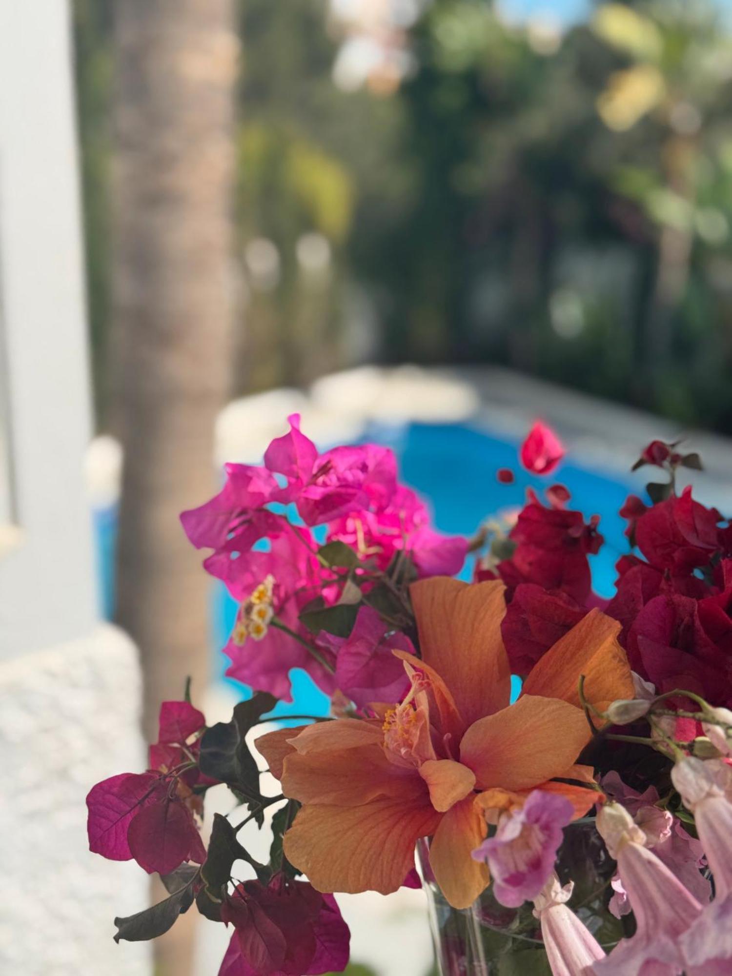 Villa Nerja Bagian luar foto